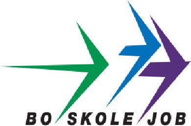 Bo Skole job logo