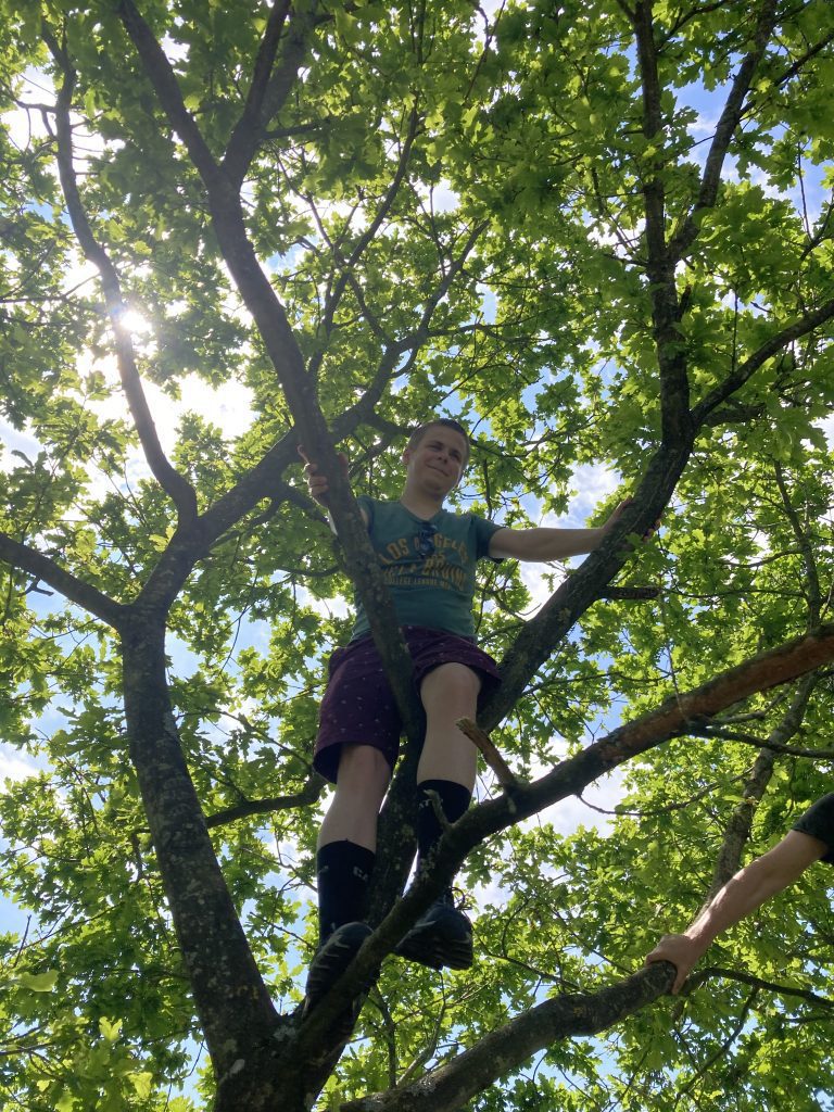 Personer som klatrer i træ